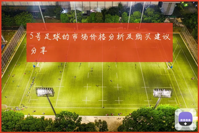 5号足球的市场价格分析及购买建议分享