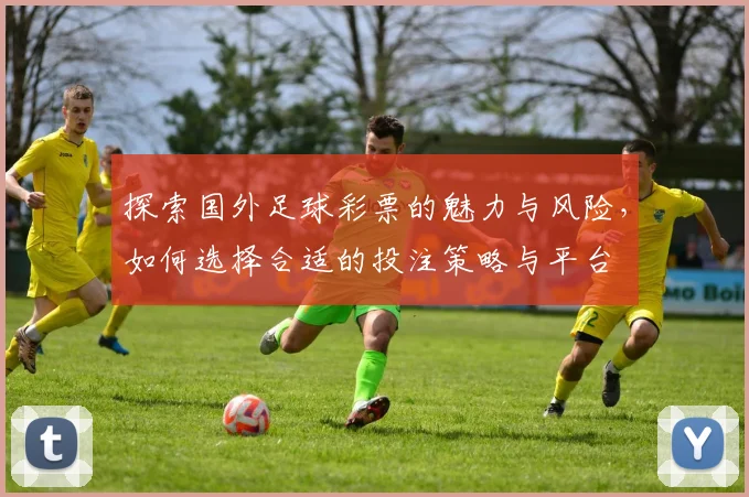 探索国外足球彩票的魅力与风险，如何选择合适的投注策略与平台